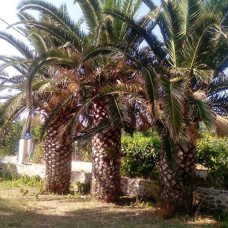 Guesthouse Karidia Skála Eresoú Dış mekan fotoğraf