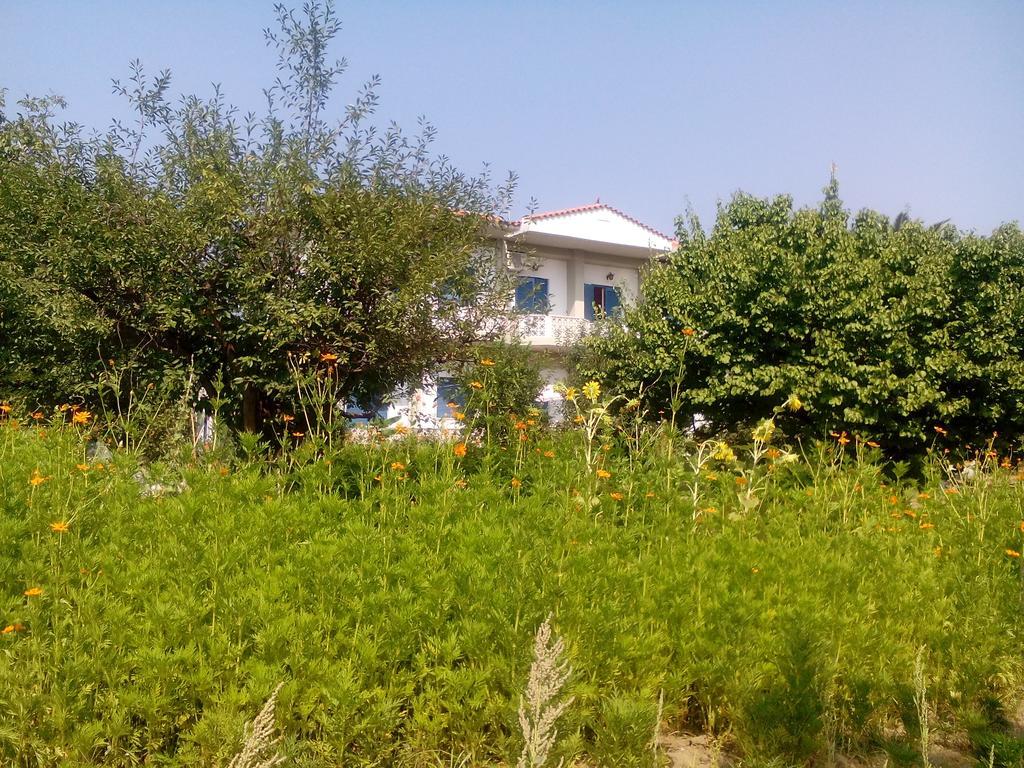 Guesthouse Karidia Skála Eresoú Dış mekan fotoğraf