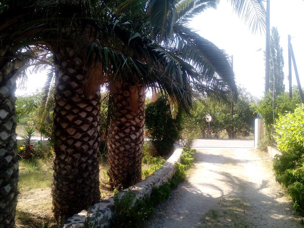 Guesthouse Karidia Skála Eresoú Dış mekan fotoğraf