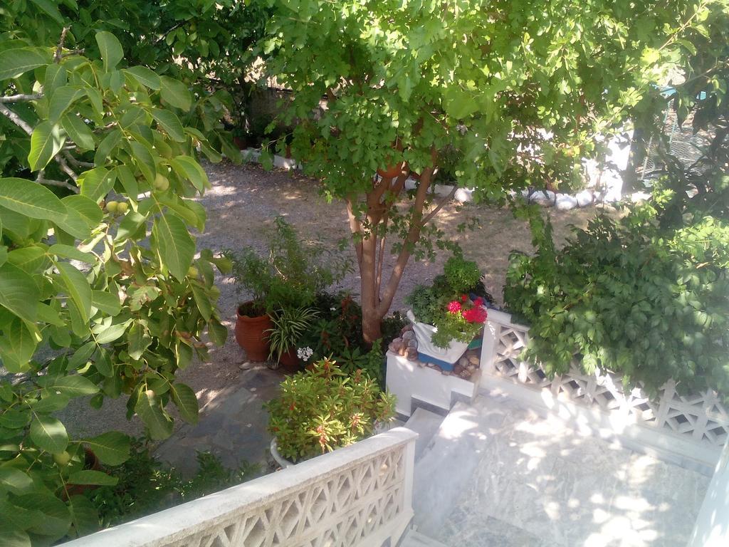 Guesthouse Karidia Skála Eresoú Dış mekan fotoğraf