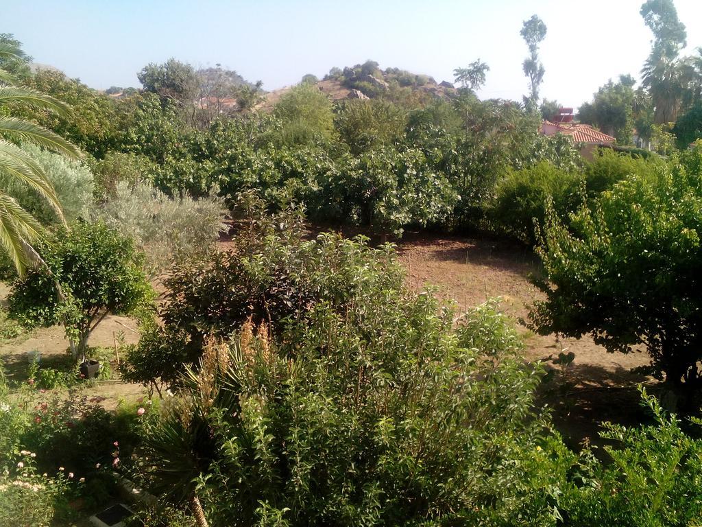 Guesthouse Karidia Skála Eresoú Dış mekan fotoğraf