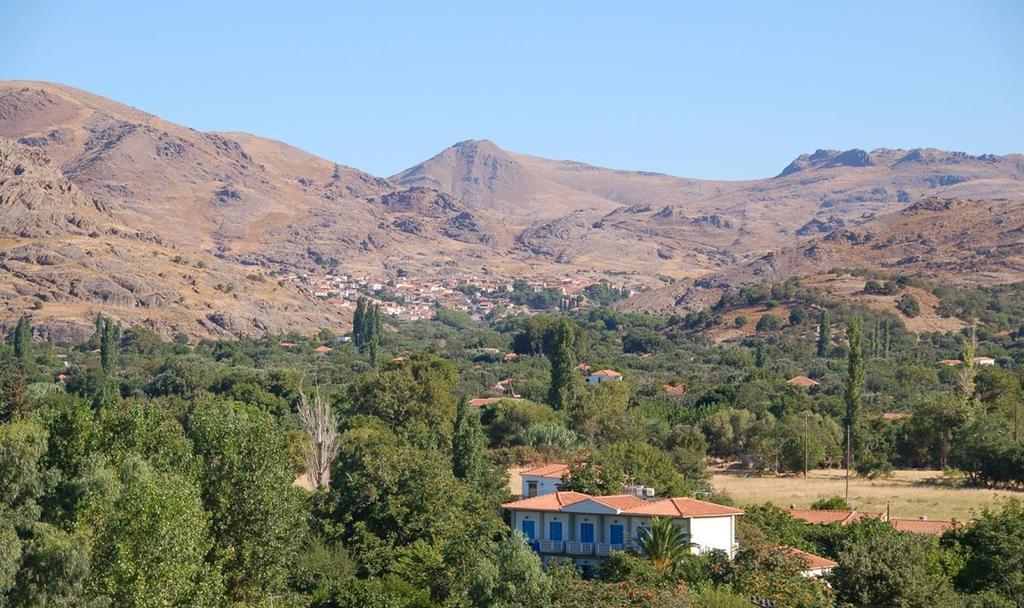 Guesthouse Karidia Skála Eresoú Dış mekan fotoğraf